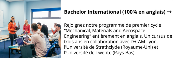 Bachelor international