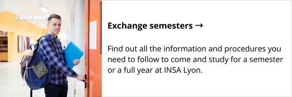 Exchange semesters