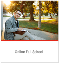 Online fall school