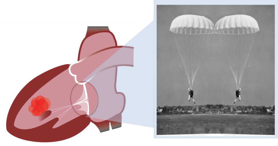 Schéma coeur et parachute