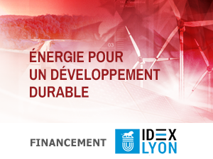 Udl Insa Lyon