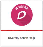 Diversity scholarship